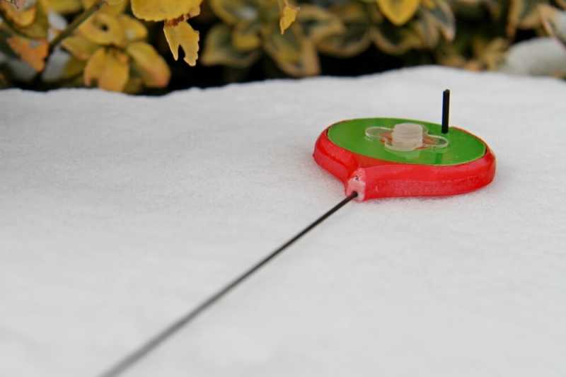 zawodniczna bałałajka